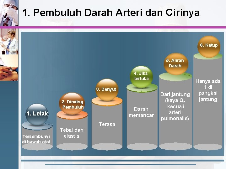 1. Pembuluh Darah Arteri dan Cirinya 6. Katup 5. Aliran Darah 4. Jika terluka