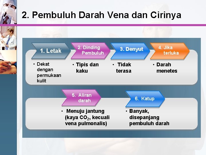 2. Pembuluh Darah Vena dan Cirinya 1. Letak • Dekat dengan permukaan kulit 2.