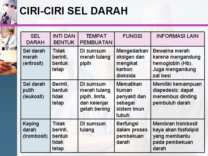 CIRI-CIRI SEL DARAH INTI DAN TEMPAT BENTUK PEMBUATAN FUNGSI INFORMASI LAIN Sel darah merah