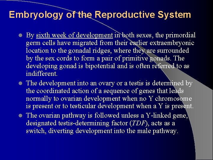 Embryology of the Reproductive System By sixth week of development in both sexes, the