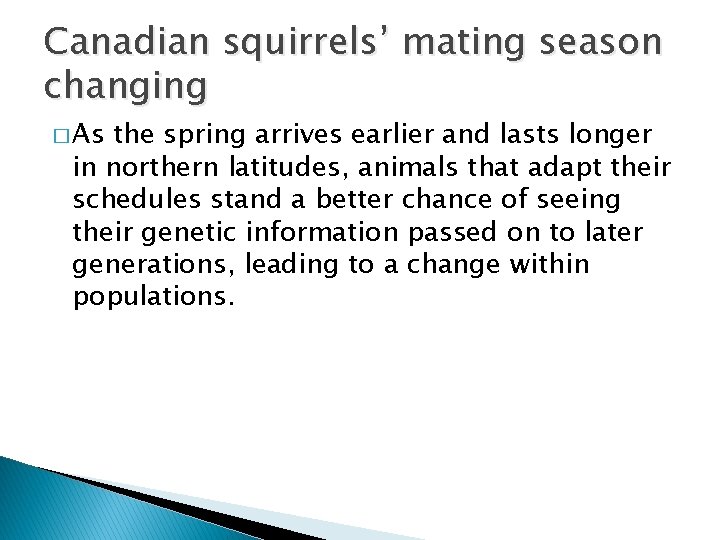 Canadian squirrels’ mating season changing � As the spring arrives earlier and lasts longer