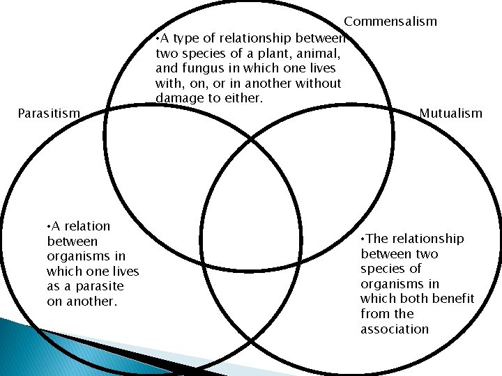 Parasitism • A relation between organisms in which one lives as a parasite on