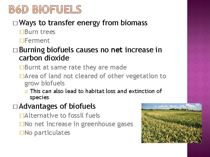 � Ways to transfer energy from biomass �Burn trees �Ferment � Burning biofuels causes