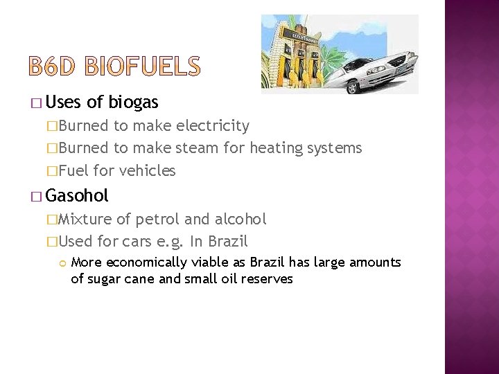 � Uses of biogas �Burned to make electricity �Burned to make steam for heating