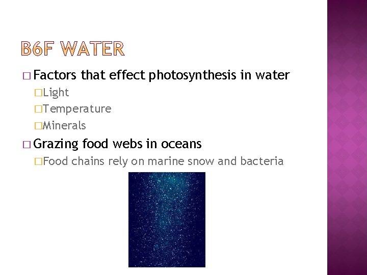 � Factors that effect photosynthesis in water �Light �Temperature �Minerals � Grazing �Food food