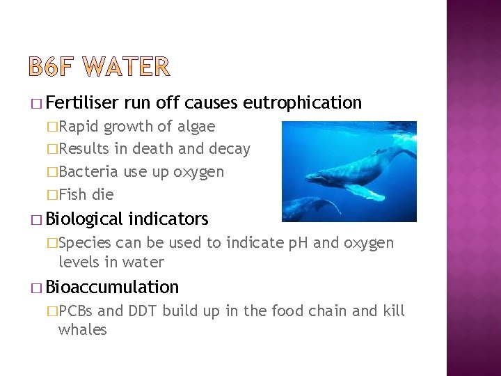 � Fertiliser run off causes eutrophication �Rapid growth of algae �Results in death and