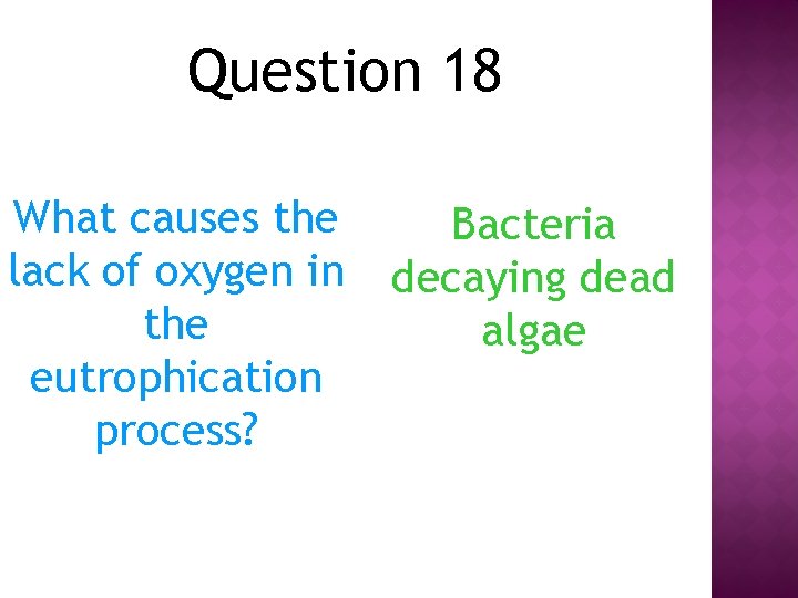 Question 18 What causes the lack of oxygen in the eutrophication process? Bacteria decaying