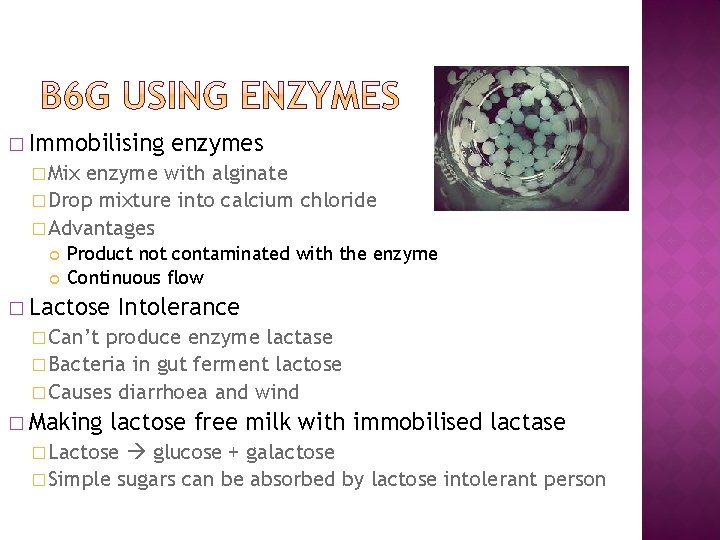 � Immobilising enzymes � Mix enzyme with alginate � Drop mixture into calcium chloride