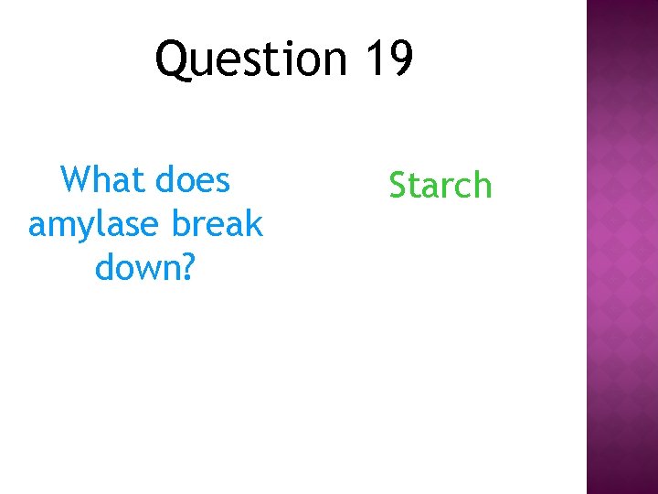 Question 19 What does amylase break down? Starch 