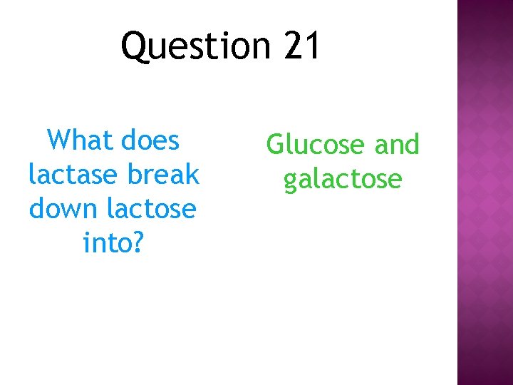 Question 21 What does lactase break down lactose into? Glucose and galactose 
