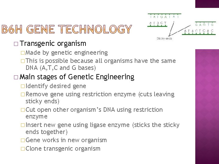 � Transgenic organism � Made by genetic engineering � This is possible because all