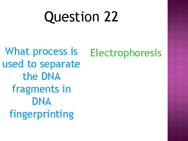 Question 22 What process is Electrophoresis used to separate the DNA fragments in DNA