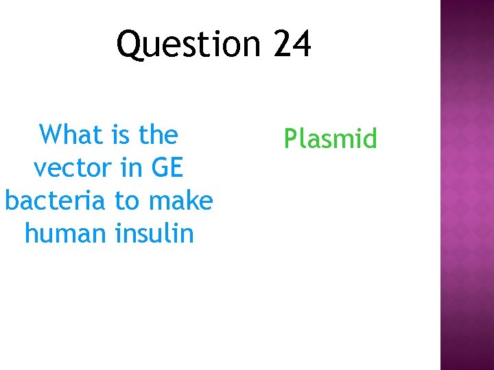 Question 24 What is the vector in GE bacteria to make human insulin Plasmid