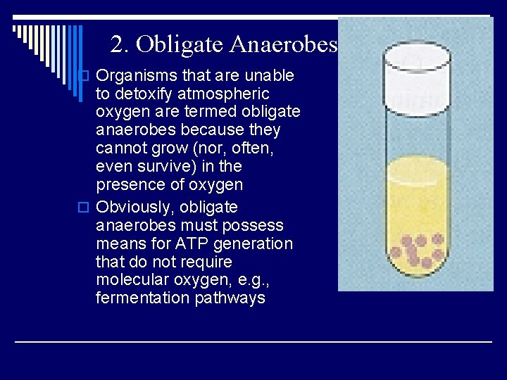 2. Obligate Anaerobes o Organisms that are unable to detoxify atmospheric oxygen are termed