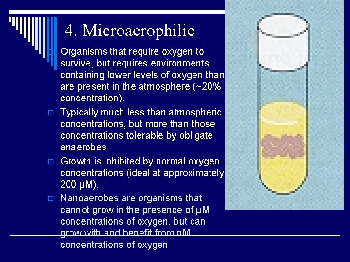 4. Microaerophilic o Organisms that require oxygen to survive, but requires environments containing lower