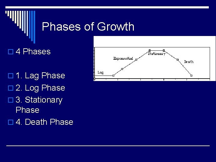 Phases of Growth o 4 Phases o 1. Lag Phase o 2. Log Phase