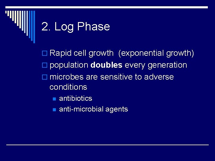 2. Log Phase o Rapid cell growth (exponential growth) o population doubles every generation