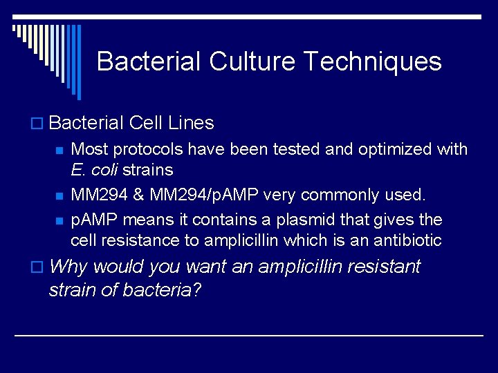Bacterial Culture Techniques o Bacterial Cell Lines n n n Most protocols have been