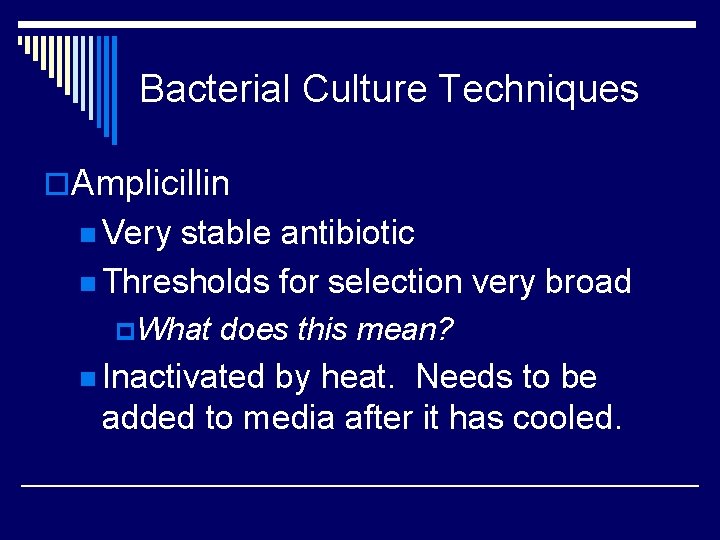 Bacterial Culture Techniques o. Amplicillin n Very stable antibiotic n Thresholds for selection very