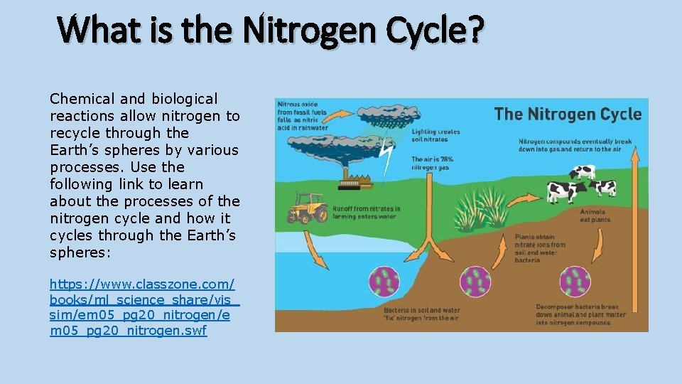 What is the Nitrogen Cycle? Chemical and biological reactions allow nitrogen to recycle through