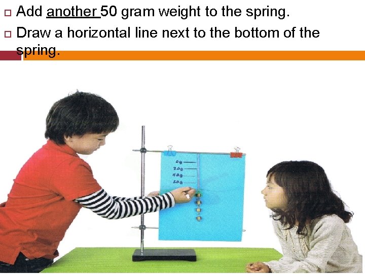  Add another 50 gram weight to the spring. Draw a horizontal line next