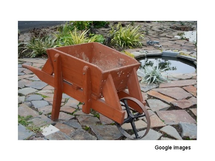 Google images 