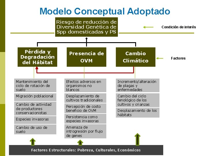 Modelo Conceptual Adoptado Riesgo de reducción de Diversidad Genética de Spp domesticadas y PS