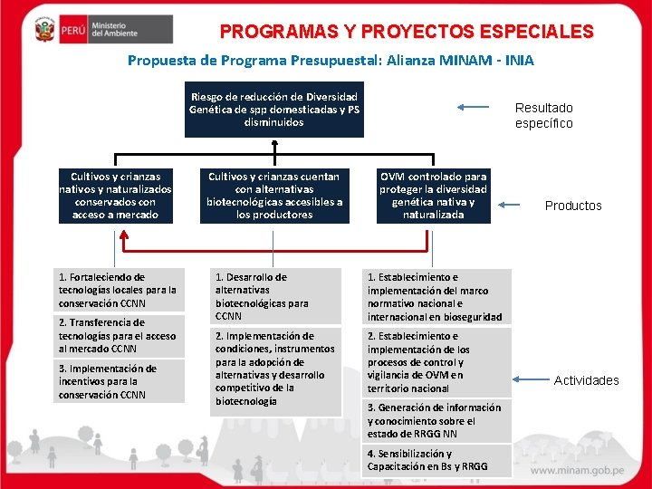 PROGRAMAS Y PROYECTOS ESPECIALES Propuesta de Programa Presupuestal: Alianza MINAM - INIA Riesgo de