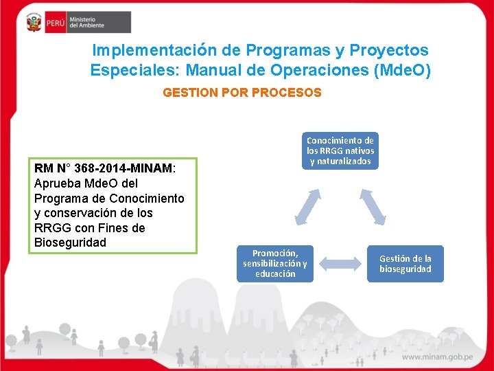 Implementación de Programas y Proyectos Especiales: Manual de Operaciones (Mde. O) GESTION POR PROCESOS