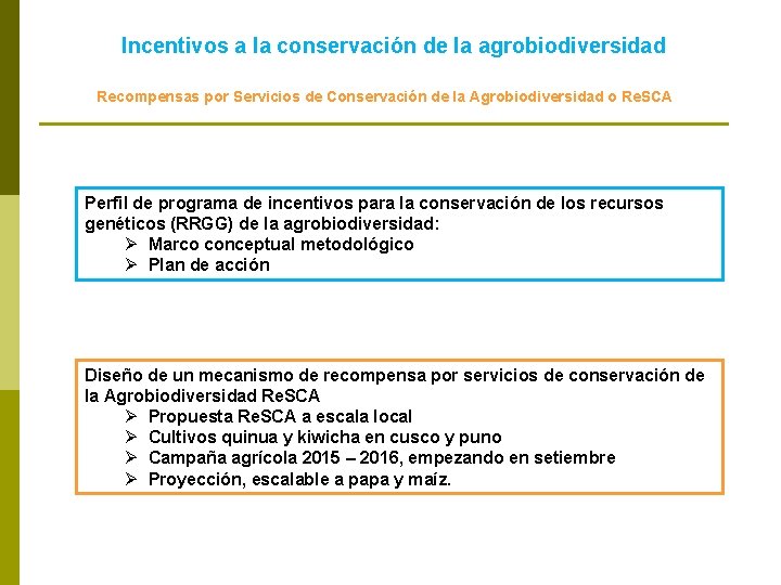 Incentivos a la conservación de la agrobiodiversidad Recompensas por Servicios de Conservación de la