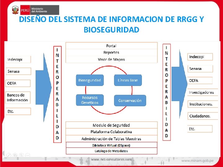 DISEÑO DEL SISTEMA DE INFORMACION DE RRGG Y BIOSEGURIDAD www. net-consultores. com 