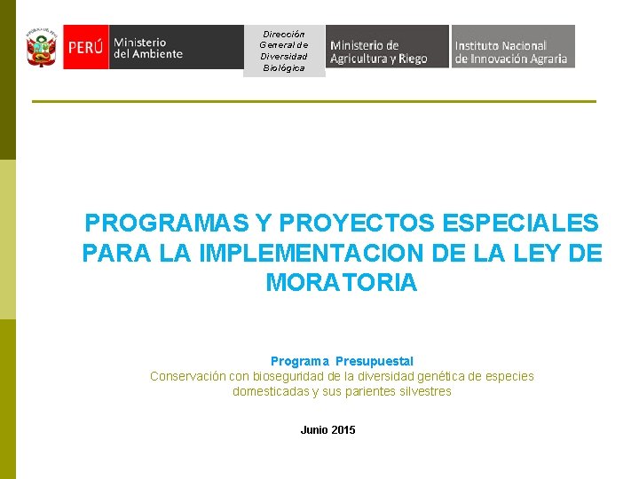 Dirección General de Diversidad Biológica PROGRAMAS Y PROYECTOS ESPECIALES PARA LA IMPLEMENTACION DE LA