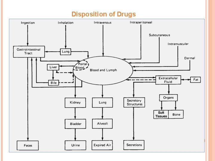 Disposition of Drugs 