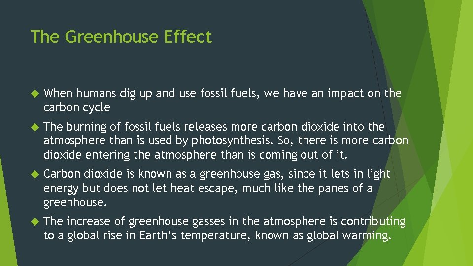 The Greenhouse Effect When humans dig up and use fossil fuels, we have an