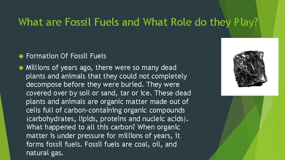 What are Fossil Fuels and What Role do they Play? Formation Of Fossil Fuels