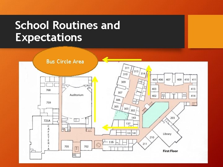 School Routines and Expectations Bus Circle Area 