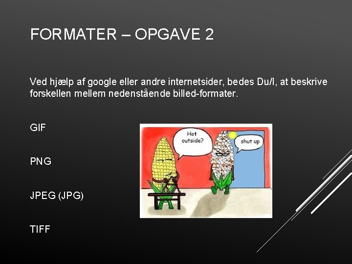 FORMATER – OPGAVE 2 Ved hjælp af google eller andre internetsider, bedes Du/I, at