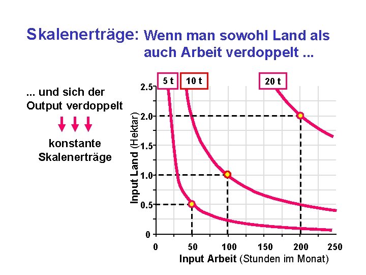 Skalenerträge: Wenn man sowohl Land als auch Arbeit verdoppelt. . . Input Land (Hektar)