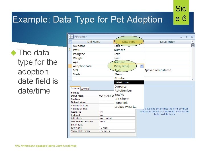 Example: Data Type for Pet Adoption The data type for the adoption date field Example: Data Type for Pet Adoption The data type for the adoption date field