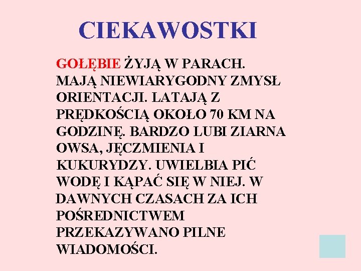 CIEKAWOSTKI GOŁĘBIE ŻYJĄ W PARACH. MAJĄ NIEWIARYGODNY ZMYSŁ ORIENTACJI. LATAJĄ Z PRĘDKOŚCIĄ OKOŁO 70