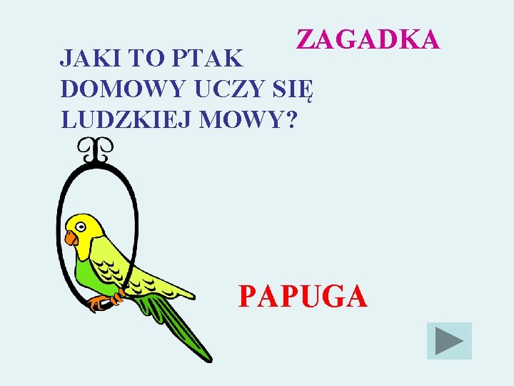 ZAGADKA JAKI TO PTAK DOMOWY UCZY SIĘ LUDZKIEJ MOWY? PAPUGA 