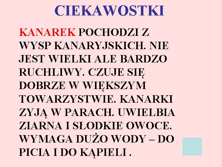 CIEKAWOSTKI KANAREK POCHODZI Z WYSP KANARYJSKICH. NIE JEST WIELKI ALE BARDZO RUCHLIWY. CZUJE SIĘ