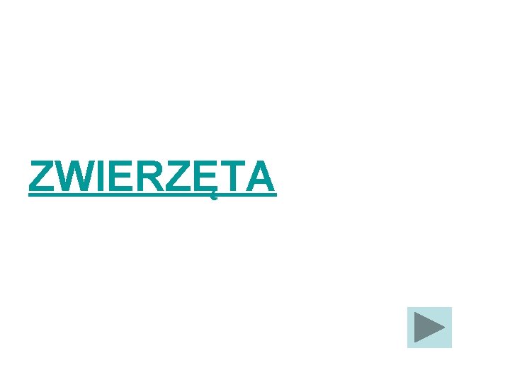 ZWIERZĘTA 