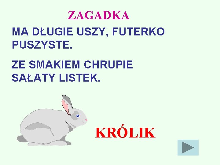 ZAGADKA MA DŁUGIE USZY, FUTERKO PUSZYSTE. ZE SMAKIEM CHRUPIE SAŁATY LISTEK. KRÓLIK 