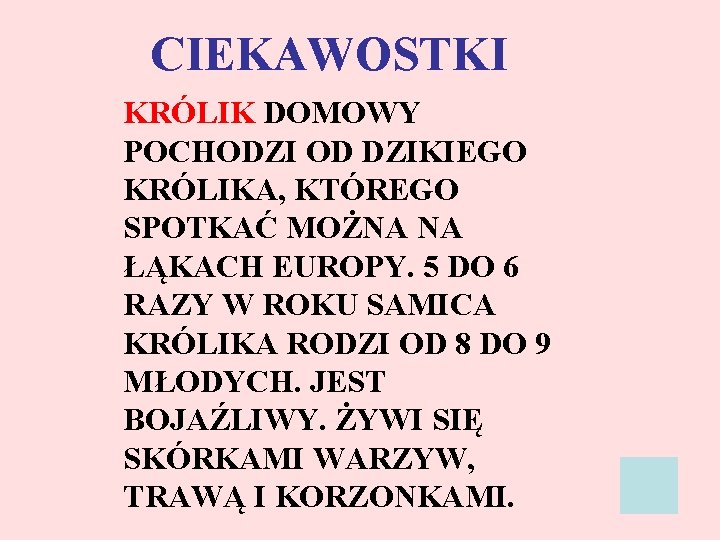 CIEKAWOSTKI KRÓLIK DOMOWY POCHODZI OD DZIKIEGO KRÓLIKA, KTÓREGO SPOTKAĆ MOŻNA NA ŁĄKACH EUROPY. 5