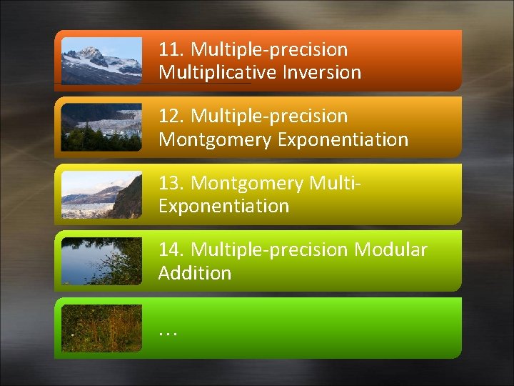 11. Multiple-precision Multiplicative Inversion 12. Multiple-precision Montgomery Exponentiation 13. Montgomery Multi. Exponentiation 14. Multiple-precision