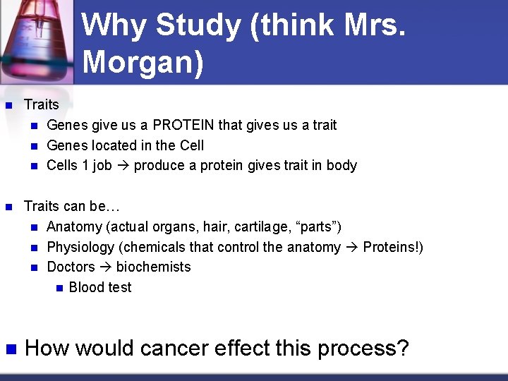 Why Study (think Mrs. Morgan) n Traits n Genes give us a PROTEIN that