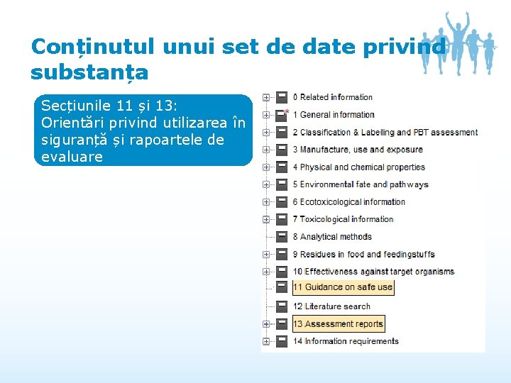 Conținutul unui set de date privind substanța Secțiunile 11 și 13: Orientări privind utilizarea