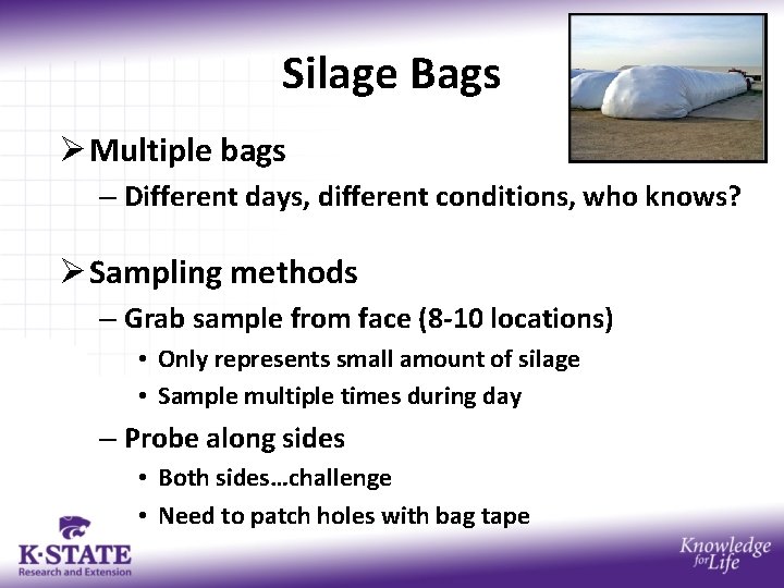 Silage Bags Ø Multiple bags – Different days, different conditions, who knows? Ø Sampling