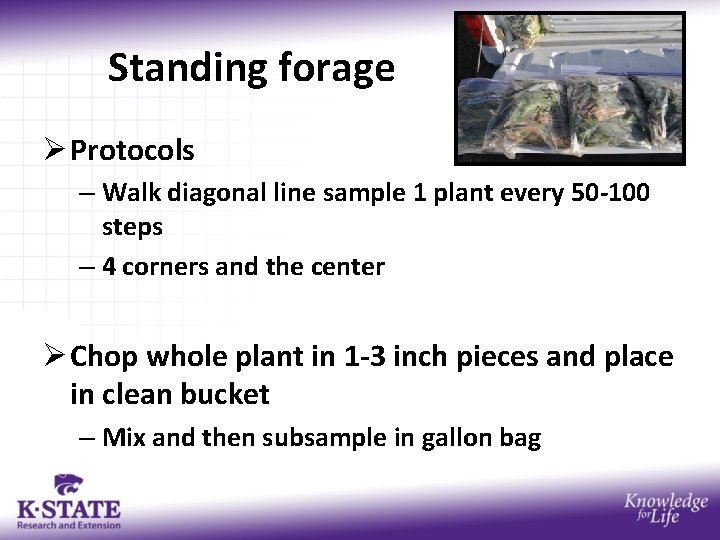 Standing forage Ø Protocols – Walk diagonal line sample 1 plant every 50 -100